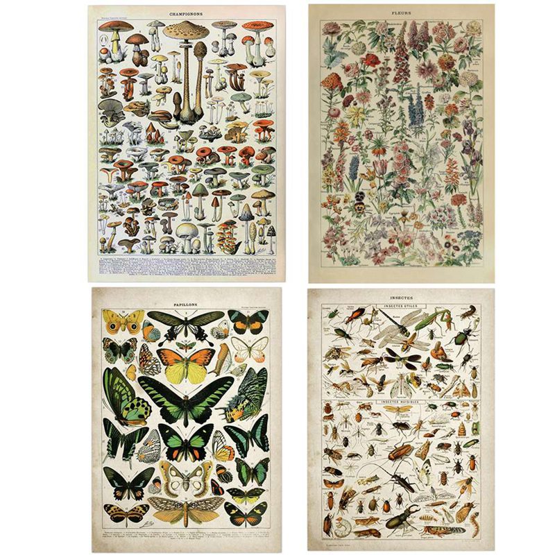 Art Craft Butterfly - Peinture sur toile vintage Adolphe Millot