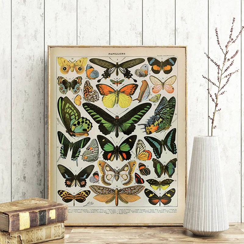 Peinture sur toile vintage Ado - Art Craft Butterfly avis et prix